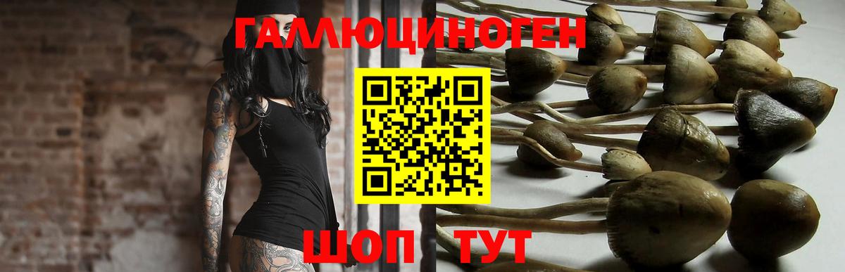 Галлюциногенные грибы Magic Shrooms Дедовск